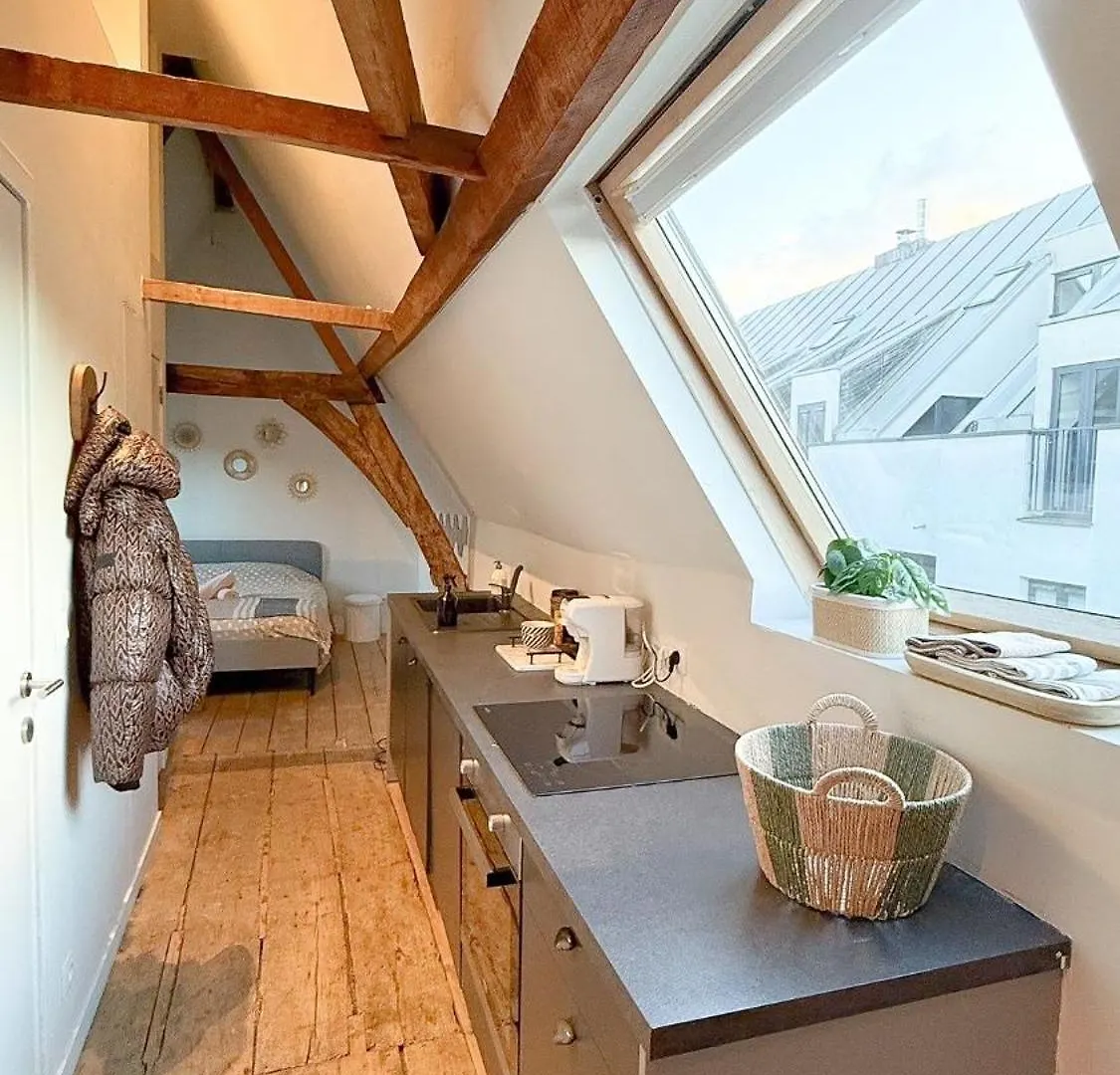 안트베르펜 Cosy Authentiek Penthouse 아파트 0*,