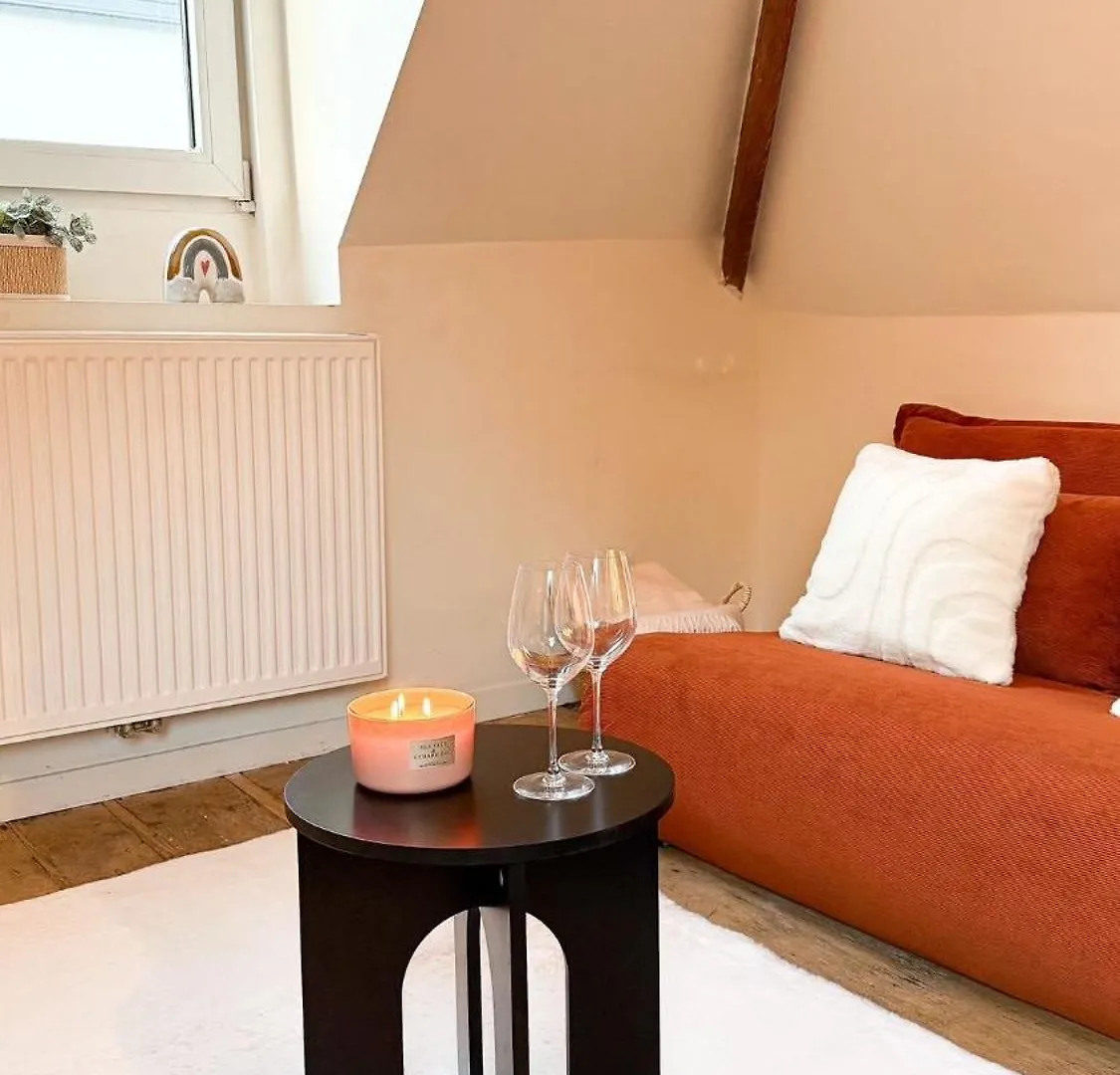 안트베르펜 Cosy Authentiek Penthouse 아파트