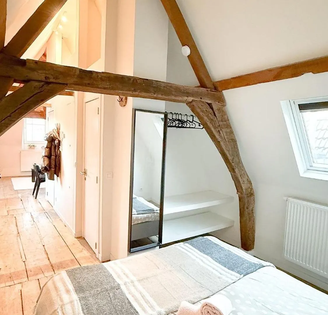 안트베르펜 Cosy Authentiek Penthouse 아파트 0*,  벨기에